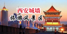 白嫩水xx中国陕西-西安城墙旅游风景区
