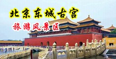 国产高潮流白桨中国北京-东城古宫旅游风景区
